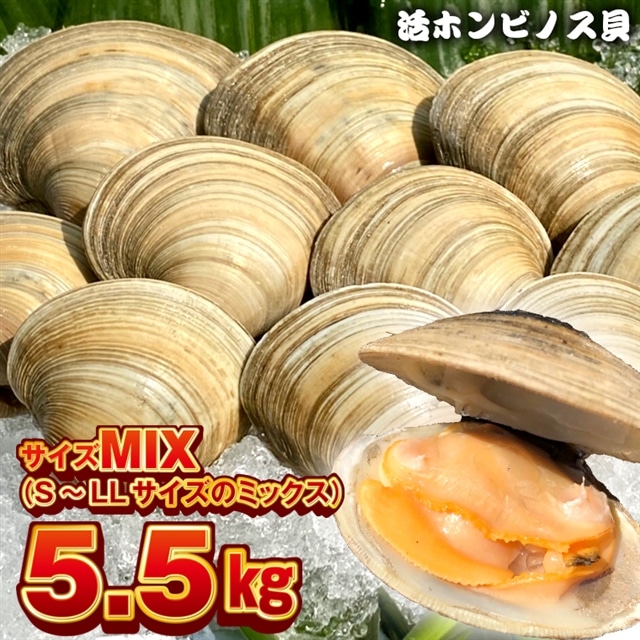 BK-10MIXez tIzrmXL5.5kgiTCY~bNXjtxÎs32000ECY̑ ECY