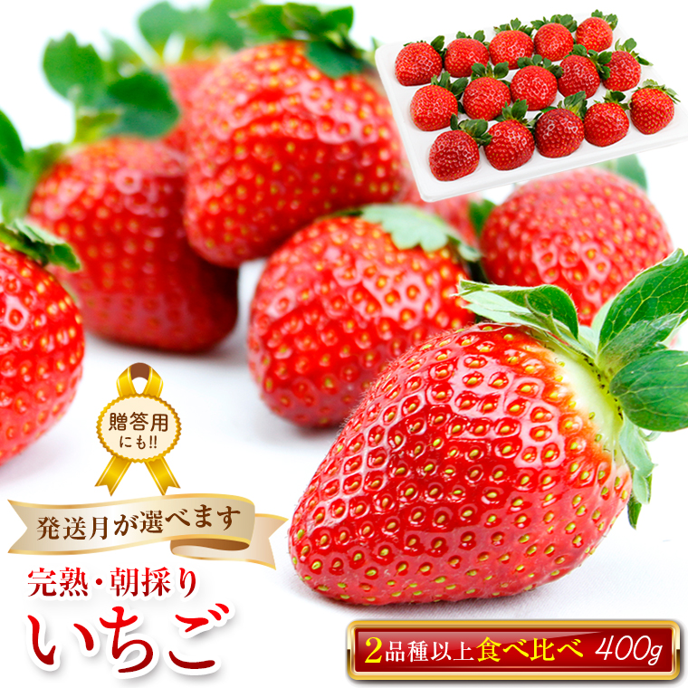 BT-174 ₷_@nÊ肢400g×1i2iȏ^①jySztxÎs10000ʕEt[c