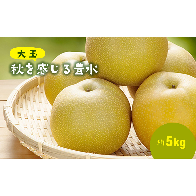 大玉!秋を感じる 豊水梨(5kg) 果物 フルーツ 千葉県市原市17000果物・フルーツりんご・梨