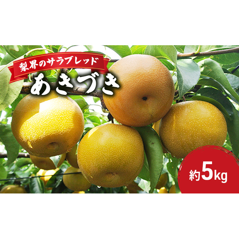 梨界のサラブレッド あきづき(5kg) 果物 フルーツ 千葉県市原市20000果物・フルーツりんご・梨