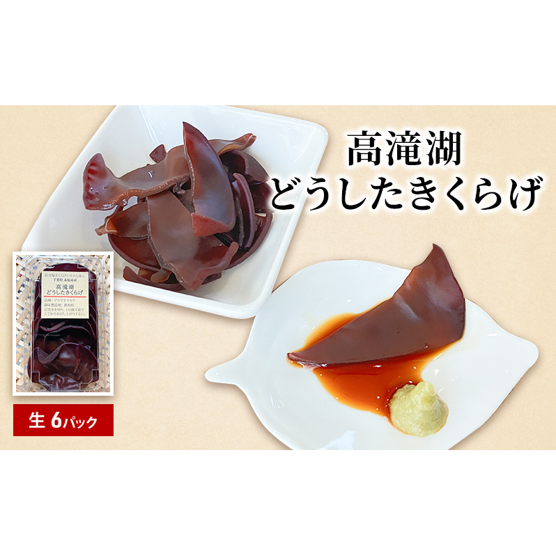 高滝湖どうしたきくらげ 生6パック 防空壕きくらげシステム導入 野菜 きのこ 生キクラゲ 肉厚 食材 料理 調理 炒め物 スープ 国産 国産野菜 国産きくらげ 千葉県市原市12000野菜・きのこきの