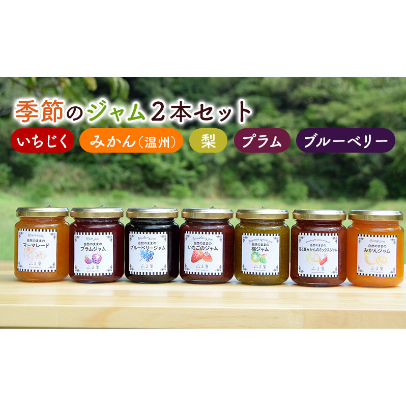 ジャム 季節のジャム2本セット 手作り フルーツ くだもの セット 千葉県 いちじく みかん 梨 プラム ブルーベリー パン ヨーグルト千葉県市原市8000鍋セット・総菜・加工食品ジャム・はちみ