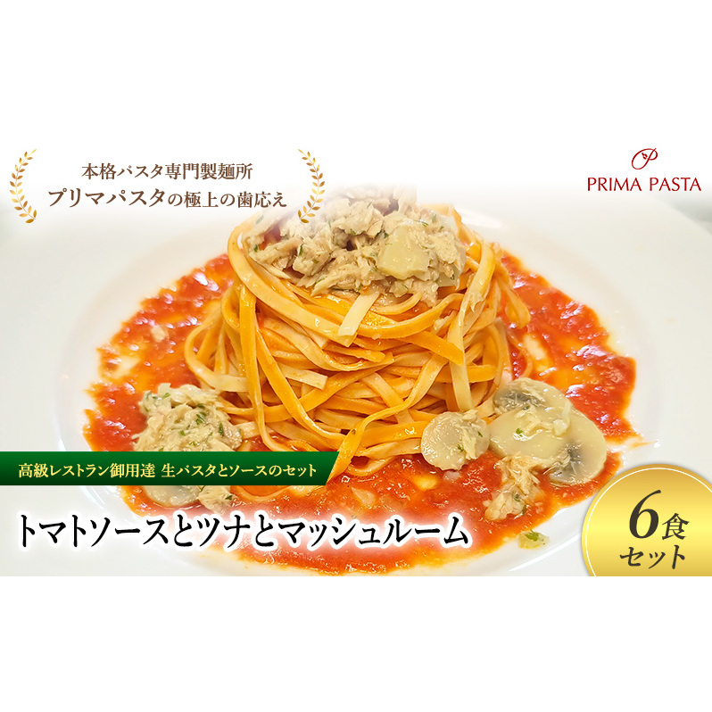 pX^ XgpB̐pX^ƃ\[X̃Zbgug}g\[Xƃciƃ}bV[@6HZbgv@`{ipX^吻ˏuv}pX^v̋ɏ̎` yTM-TMS1101-6