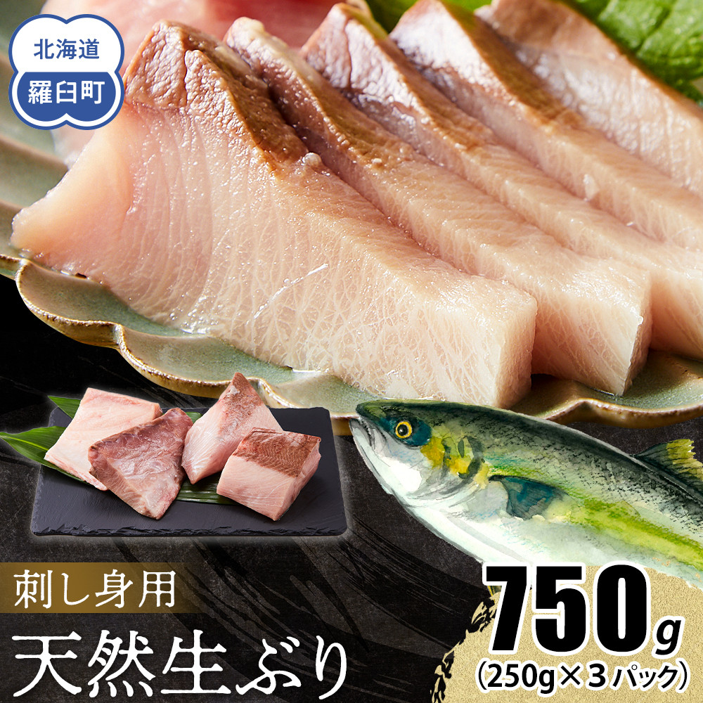 【2026年2月発送】北海道 知床羅臼産 天然ぶり刺身 750g(250g ×3パック) 魚 海産物 魚介 魚介類 ブリ 鰤 刺身 ご飯のお供 冷凍 生産者 支援 応援北海道羅臼町10000魚介・海産物鮮魚