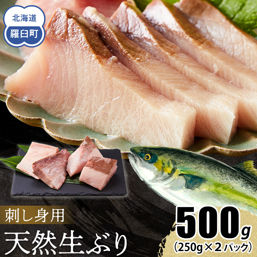 y2025N11zkC mPY VRԂhg 500g (250g×2pbN)  CY   u  hg т̂ Ⓚ Y x kCP8000ECYN