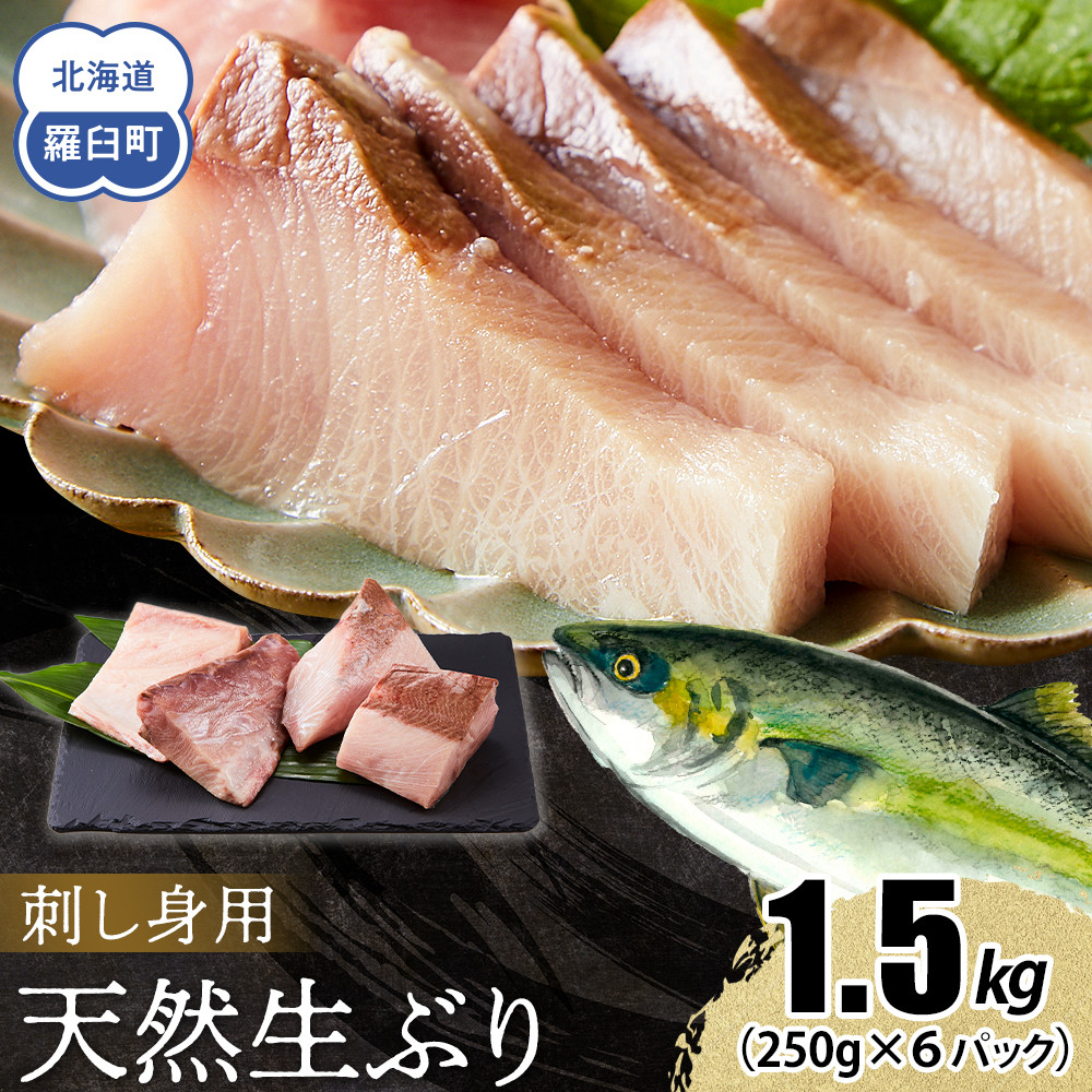 y2026N1zkC mPY VRԂhg 1.5kg (250g×6pbN)  CY   u  hg т̂ Ⓚ Y x kCP24000ECYN