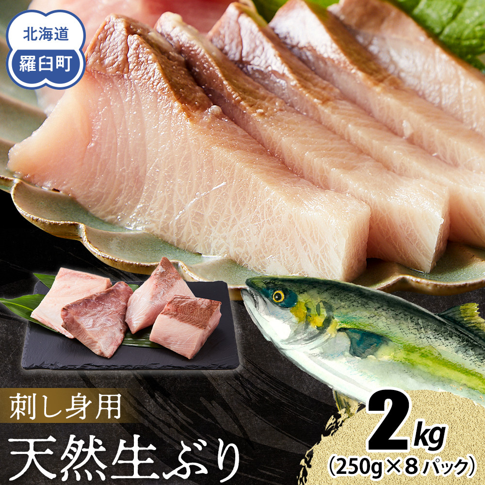 y2026N3zkC mPY VRԂhg 2kg (250g×8pbN)  CY   u  hg т̂ Ⓚ Y x kCP32000ECYN