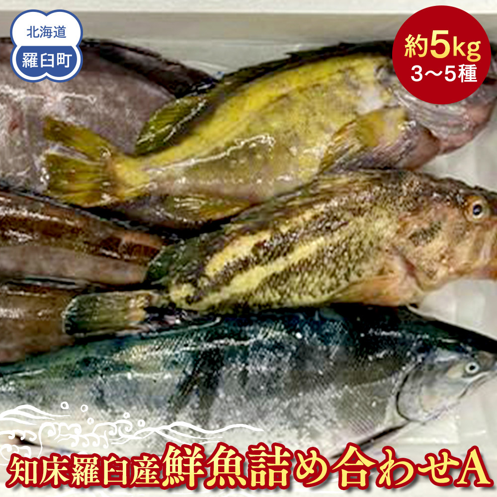 知床羅臼産 鮮魚詰め合わせA 約5kg 魚 さかな 旬の魚 鮮魚 羅臼町 北海道 生産者 支援 応援北海道羅臼町18000魚介・海産物鮮魚