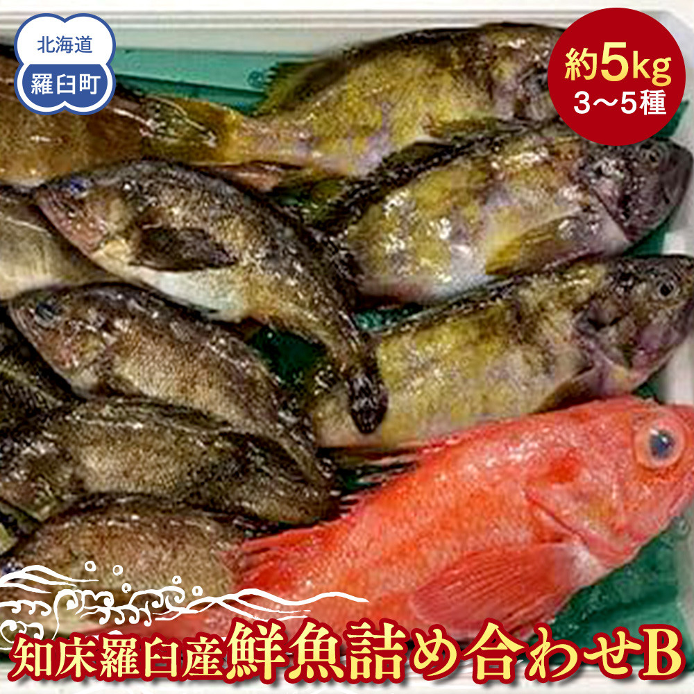 知床羅臼産 鮮魚詰め合わせB 約5kg 魚 さかな 旬の魚 鮮魚 羅臼町 北海道 生産者 支援 応援北海道羅臼町30000魚介・海産物鮮魚