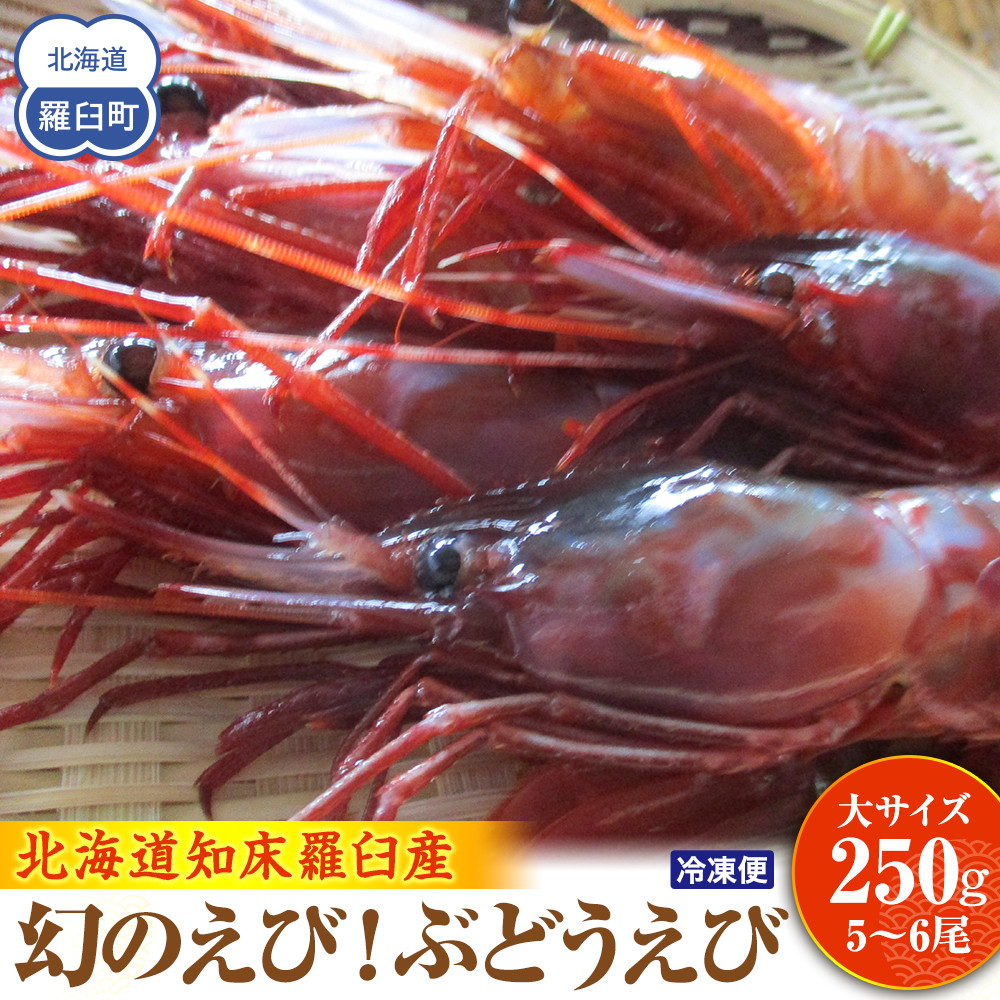̂ԂǂсiE250g /4`6jGr CV uhEGr P kC   CY Ⓚ Y x kCP70000ECYGr