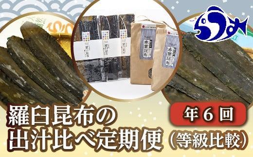 N6IPz̏o`גցirj Y x kCP84000E