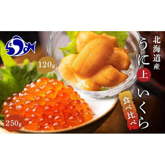 【先行/2026年1月より発送】知床羅臼町産うにといくらの食べ比べセット(うに【上】120g・いくら250g) 生産者 支援 応援北海道羅臼町44000魚介・海産物イカ・タコ・ウニ