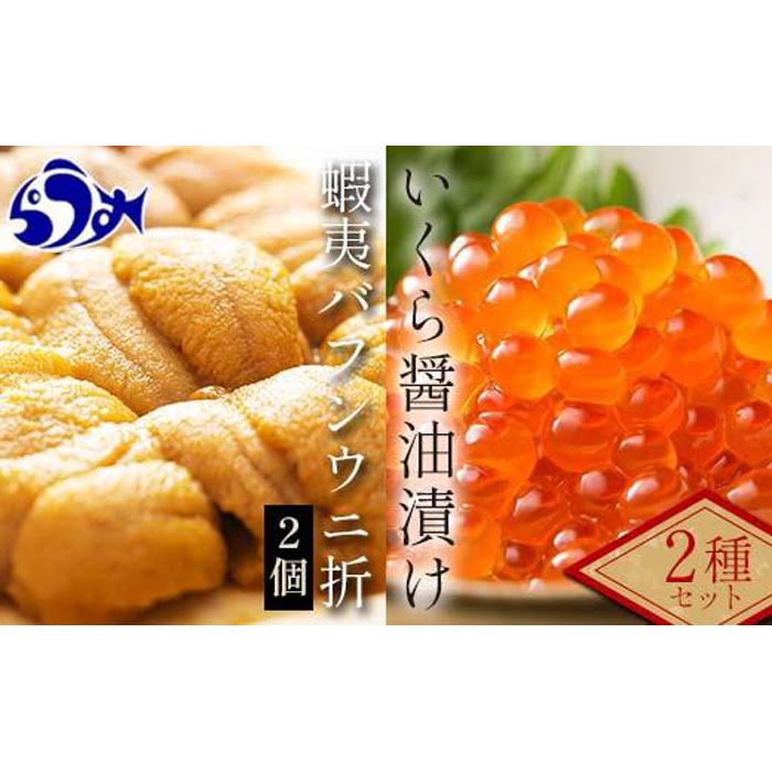 【先行/2026年1月より発送】知床羅臼町産折うに(120g×2)と北海道産いくら醤油漬け(250g)セット 北海道産 知床羅臼産北海道羅臼町80000魚介・海産物イカ・タコ・ウニ