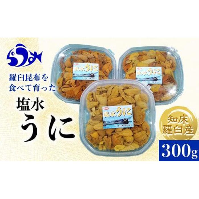 【先行予約/2026年1月より発送】天然 エゾバフンうに (中)塩水うに 300g (100g×3枚)ミョウバン不使用 北海道産 知床羅臼産北海道羅臼町51000魚介・海産物イカ・タコ・ウニ