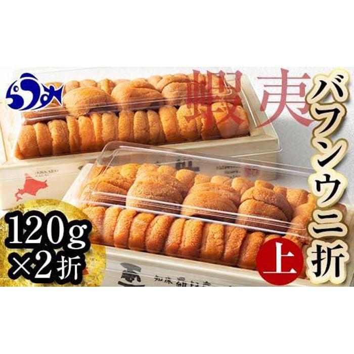【先行予約/2026年1月より発送】エゾバフンウニ(上)折うに 120g×2枚北海道羅臼町55000魚介・海産物イカ・タコ・ウニ