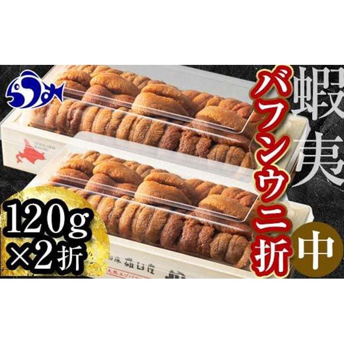 【先行予約/2026年1月より発送】エゾバフンウニ(中)折うに 120g×2枚北海道羅臼町41000魚介・海産物イカ・タコ・ウニ