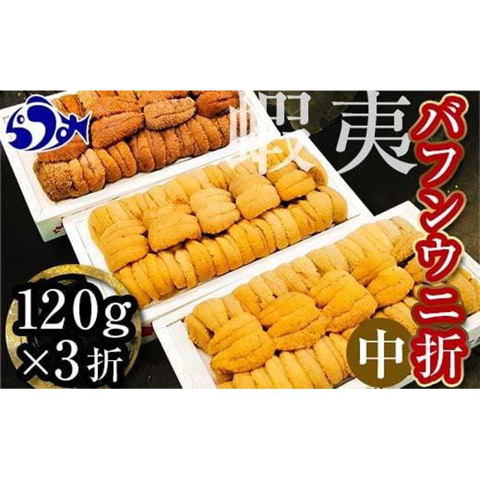 【先行予約/2026年1月より発送】エゾバフンウニ(中)折うに 120g×3枚北海道羅臼町60000魚介・海産物イカ・タコ・ウニ