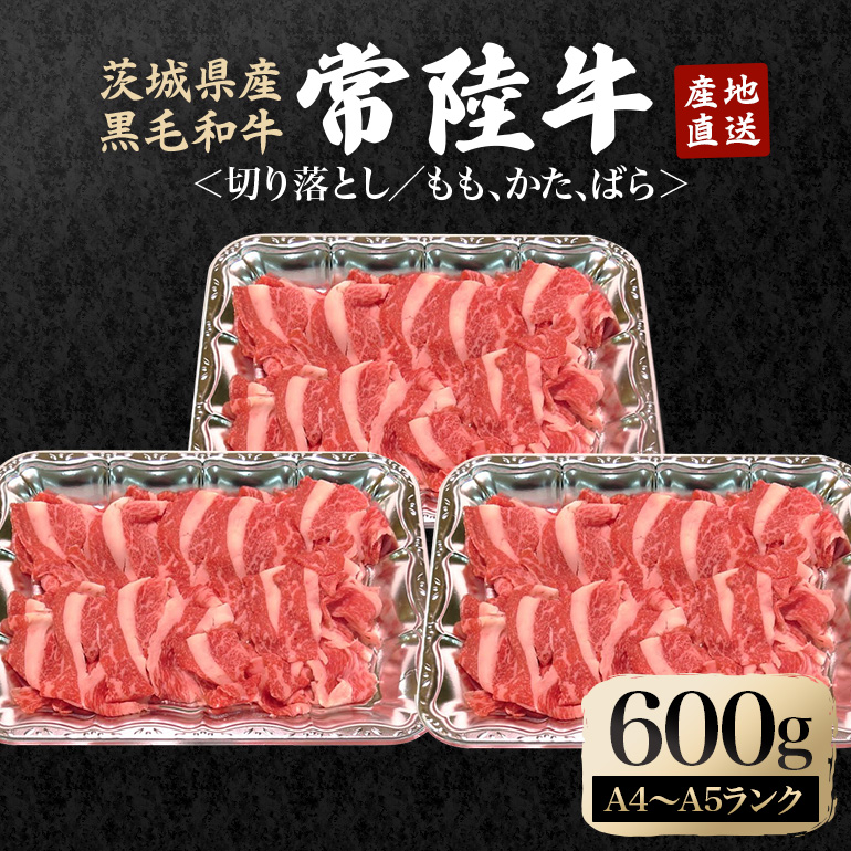 瑞穂農場で育てた常陸牛切り落としセット 約600g 冷凍配送 牛肉 ブランド牛 A4 A5 A4ランク A5ランク 茨城県 モモ ばら かた 赤身 霜降り 部位ミックス 国産 切り落とし 国産牛 柔らか 牛丼 肉じ