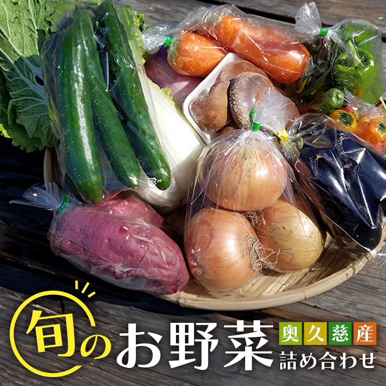 新鮮 奥久慈産 旬の野菜詰め合わせ 季節 セット 茨城県 特産 野菜セット 詰め合わせ 国産 旬 お試し おまかせ お楽しみ 野菜 採れたて 美味しい 直送 ho0871茨城県常陸大宮市13000野菜・きのこ
