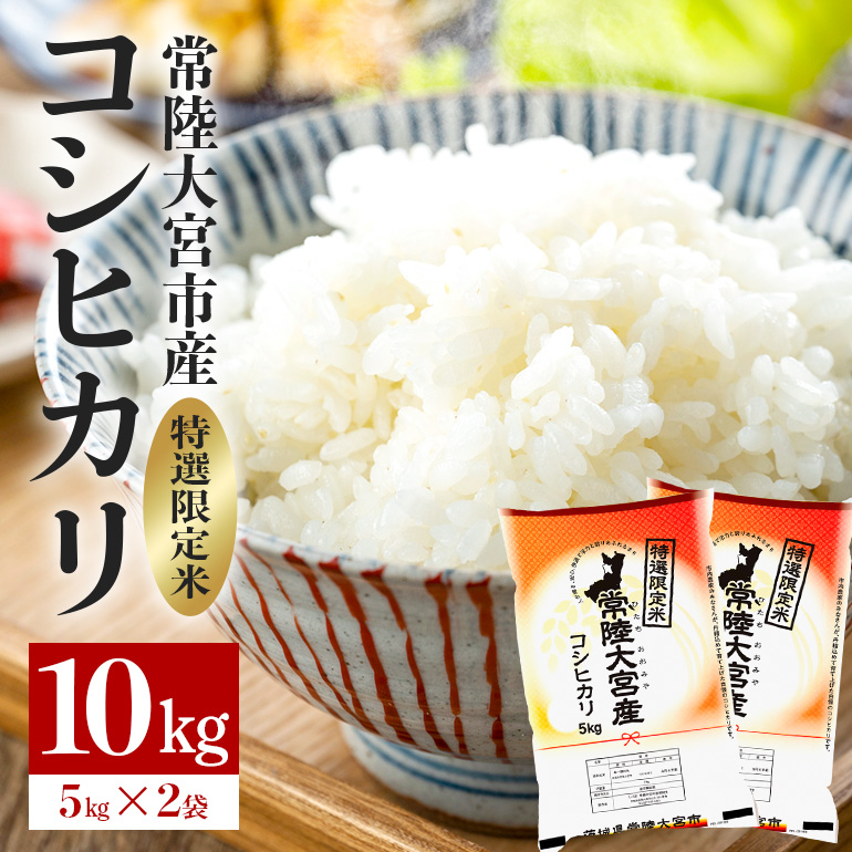 ys\z헤{Y RVqJ 10kg(5kg×2) I     Y ăMtg uh p lĈ   ho1397錧헤{s30000āEp