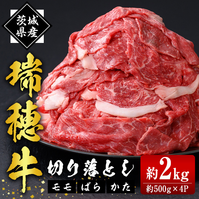 䋍؂藎ƂZbg 2kg  ho1449錧헤{s24000