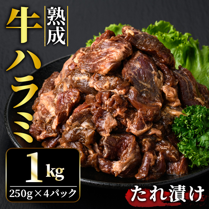 nn~ 1kg (250g×4pbN)  t  Ⓚ ē Ă   r[t n~ BBQ yjႭiВrjzyho1468z錧헤{s9000