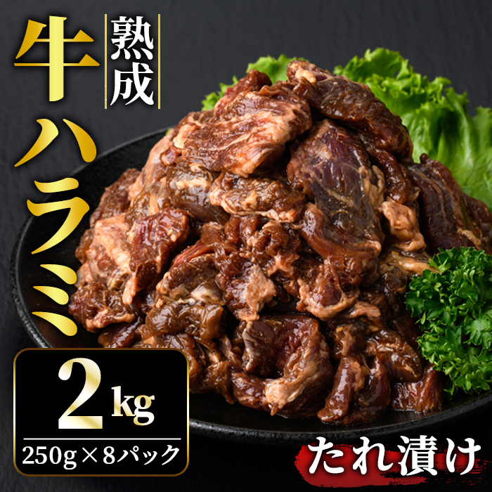 nn~ 2kg (250g×8pbN)  t  Ⓚ ē Ă   r[t n~ BBQ yjႭiВrjzyho1469z錧헤{s14000