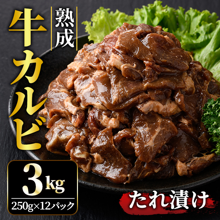 熟成牛カルビ 3kg (250g×12パック) たれ 味付 小分け 冷凍 焼肉 焼き肉 牛 牛肉 ビーフ カルビ BBQ 【そうざい男しゃく(株式会社池延)】【ho1473】茨城県常陸大宮市18000肉牛肉