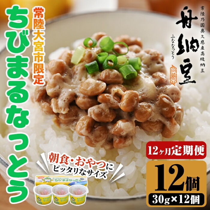 常陸大宮限定!舟納豆 ちびまる納豆 12回定期便 国産 茨城 大豆 高級 納豆 なっとう 舟納豆 小粒 個包装 たれ 付 ごはんのお供 詰め合わせ 個包装 ギフト 冷蔵 ちびまる納豆 定期 【株式会