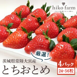 【先行予約】ごほうびいちご(厳選とちおとめ)4パック入り(24〜56粒)黒パッケージ いちご イチゴ 苺 とちおとめ フルーツ 果物 くだもの デザート 【hiko farm(ヒコファーム)】 【ho1572】