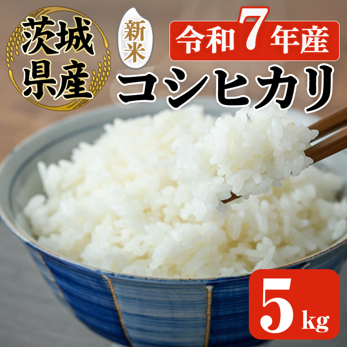 常陸大宮産 コシヒカリ 5kg 米 お米 新米 令和7年 精米 白米 こめ コメ ご飯 ごはん コシヒカリ こしひかり 5kg 5キロ 【常陸農業協同組合】【ho1574】茨城県常陸大宮市13000米・パン白米