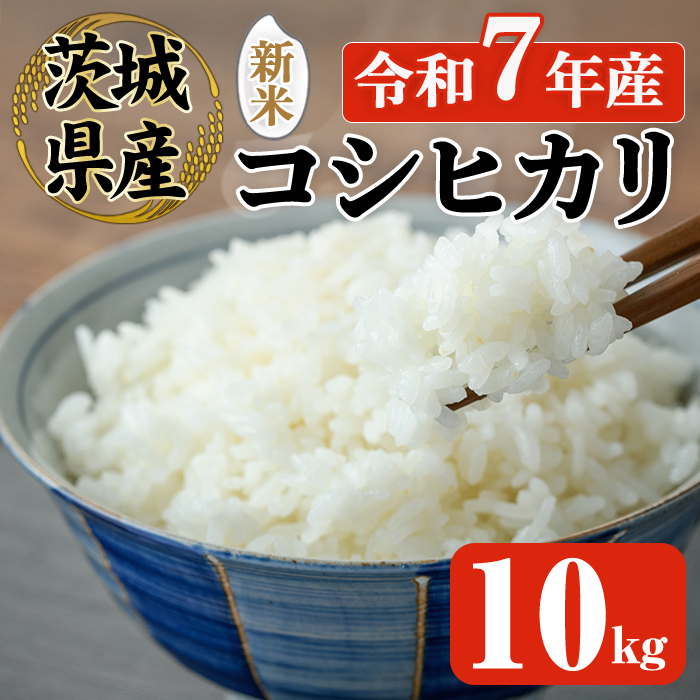 常陸大宮産 コシヒカリ 10kg 米 お米 新米 令和7年 精米 白米 こめ コメ ご飯 ごはん コシヒカリ こしひかり 10kg 5キロ 【常陸農業協同組合】【ho1575】茨城県常陸大宮市26000米・パン白米
