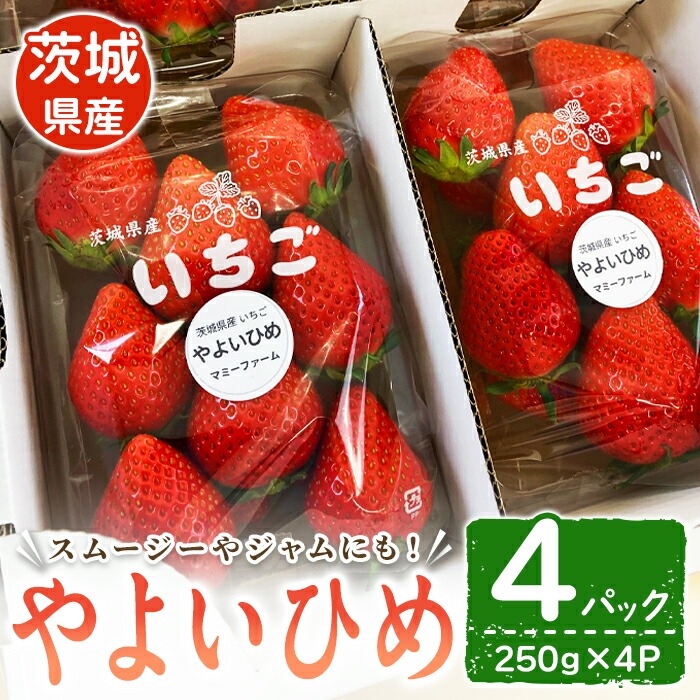 ys\zi悢Ђ߁j  C`S  悢Ђ t[c ʕ  fU[g X[W[ W ymommy farmzyho1593z錧헤{s12000ʕEt[c