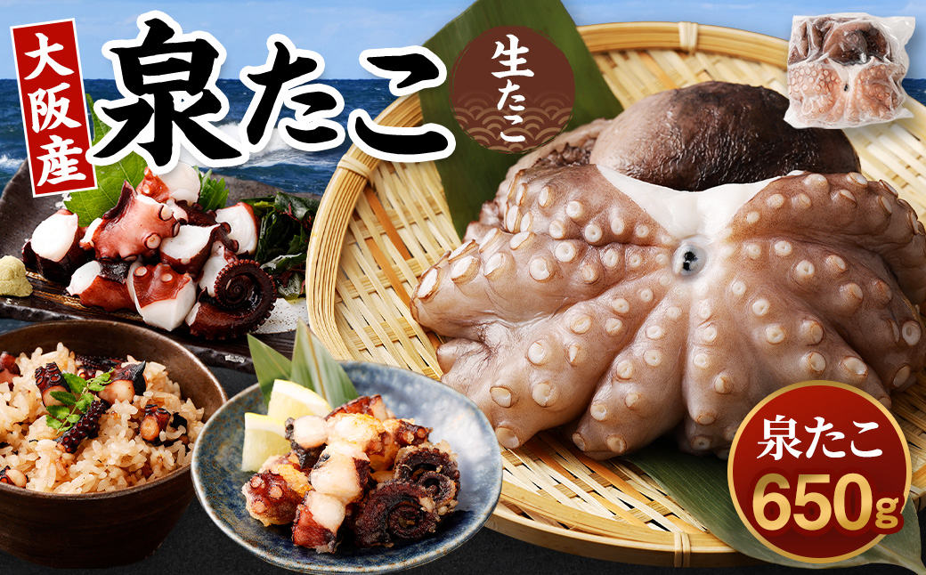 大阪産 泉タコ (生たこ) 650g (1杯〜3杯)×1袋 魚介類 海鮮 タコ たこ 真蛸 スミ抜き 塩もみ処理 下処理済み 簡単調理 冷凍大阪府阪南市10000魚介・海産物イカ・タコ・ウニ