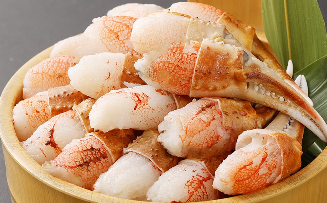 킢I Jjܓ 500g i8 ` 25{j y8z  Jj {킢I ܓ  |[V ނg Ԃԗp  CN BBQ o[xL[ ȒP Ⓚ{s11000ECYJj