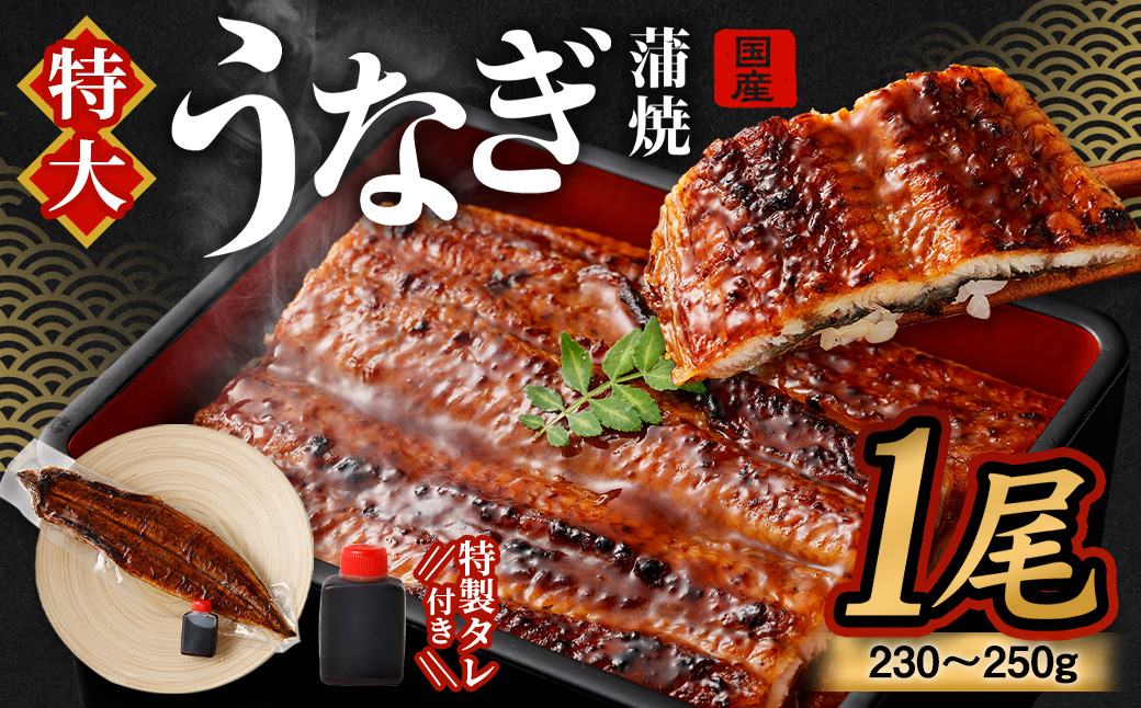 【土用の丑の日に間に合う!】国産 特大 うなぎ 蒲焼 1尾 230〜250g 特製タレ1個セット 【2024年7月20日から7月22日に発送いたします】大阪府阪南市10000魚介・海産物うなぎ