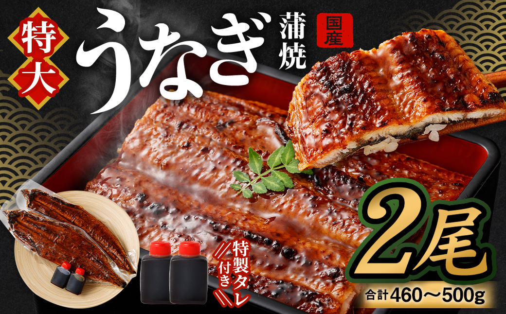 【土用の丑の日に間に合う!】国産 特大 うなぎ 蒲焼 2尾 (460 ~ 500g) と 特製タレ 2個 セット 【2024年7月20日から7月22日に発送いたします】大阪府阪南市20000魚介・海産物うなぎ