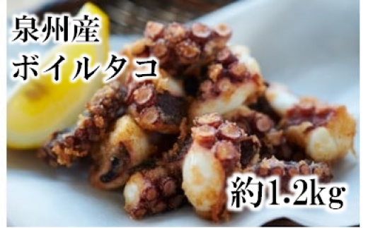 大阪産 泉タコ (ボイルたこ) 計1.2kg 600g(1杯〜3杯)×2袋 【2024年7月上旬より順次発送】  魚介類 海鮮 タコ ゆで 冷凍大阪府阪南市20000魚介・海産物イカ・タコ・ウニ