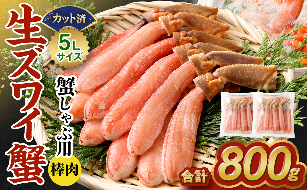 生ズワイ蟹 しゃぶしゃぶ用 棒肉 800g |海鮮 カニ かに 蟹 ずわい蟹 ズワイガニ ポーション むき身 カニしゃぶ しゃぶしゃぶ 鍋 脚 足 簡単調理 冷凍大阪府阪南市30000魚介・海産物カニ