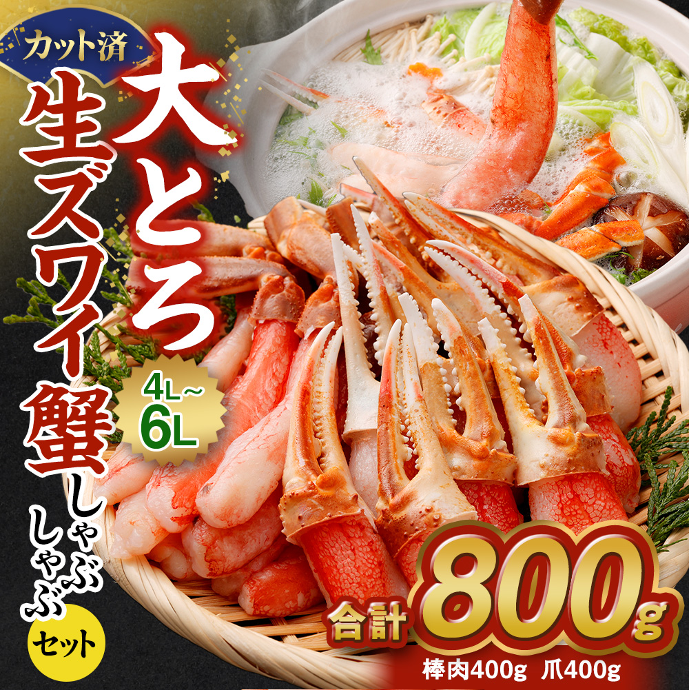 大トロ蟹 しゃぶしゃぶセット 800g 4L〜6L  |海鮮 カニ かに 蟹 ずわい蟹 ズワイガニ ポーション むき身 カニしゃぶ しゃぶしゃぶ 鍋 脚 足 簡単調理 冷凍大阪府阪南市25000魚介・海産物カニ