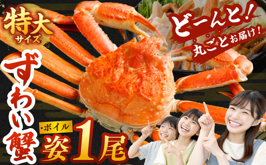 特大 ボイル ズワイ蟹 姿 750g 1尾 | 海鮮 カニ かに 蟹 ズワイガニ かにみそ カニみそ ボイル 瞬間冷凍 冷凍大阪府阪南市13000魚介・海産物カニ