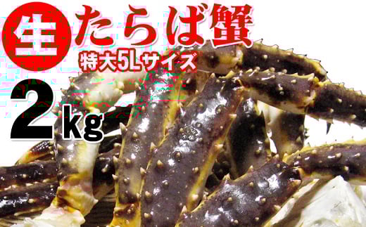 生タラバ蟹 特大サイズ 5L 2kg  | 海鮮 カニ かに 蟹 タラバガニ たらば蟹 足 脚 特大 大型 冷凍大阪府阪南市100000魚介・海産物カニ