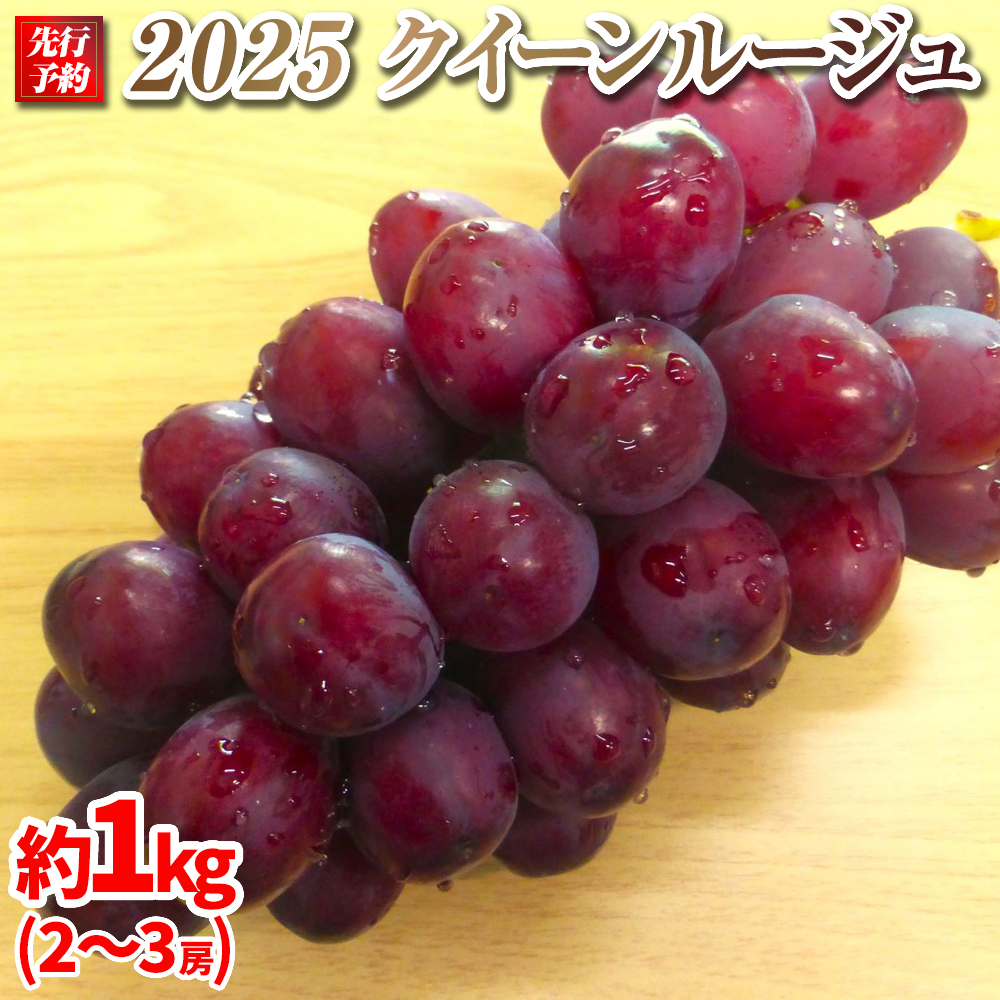 2025  NC[[W?@2[`3[@1L@y10{`\z@쌧Y@ۓL@엿͔|쌧咬s20000ʕEt[c}XJbgEԂǂ