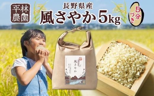 令和6年産 風さやか 5分づき米 5kg×1袋 長野県産 米 お米 ごはん ライス 分つき米 農家直送 産直 信州 人気 ギフト お取り寄せ 平林農園  長野県 大町市長野県大町市16000米・パン玄米・雑穀米