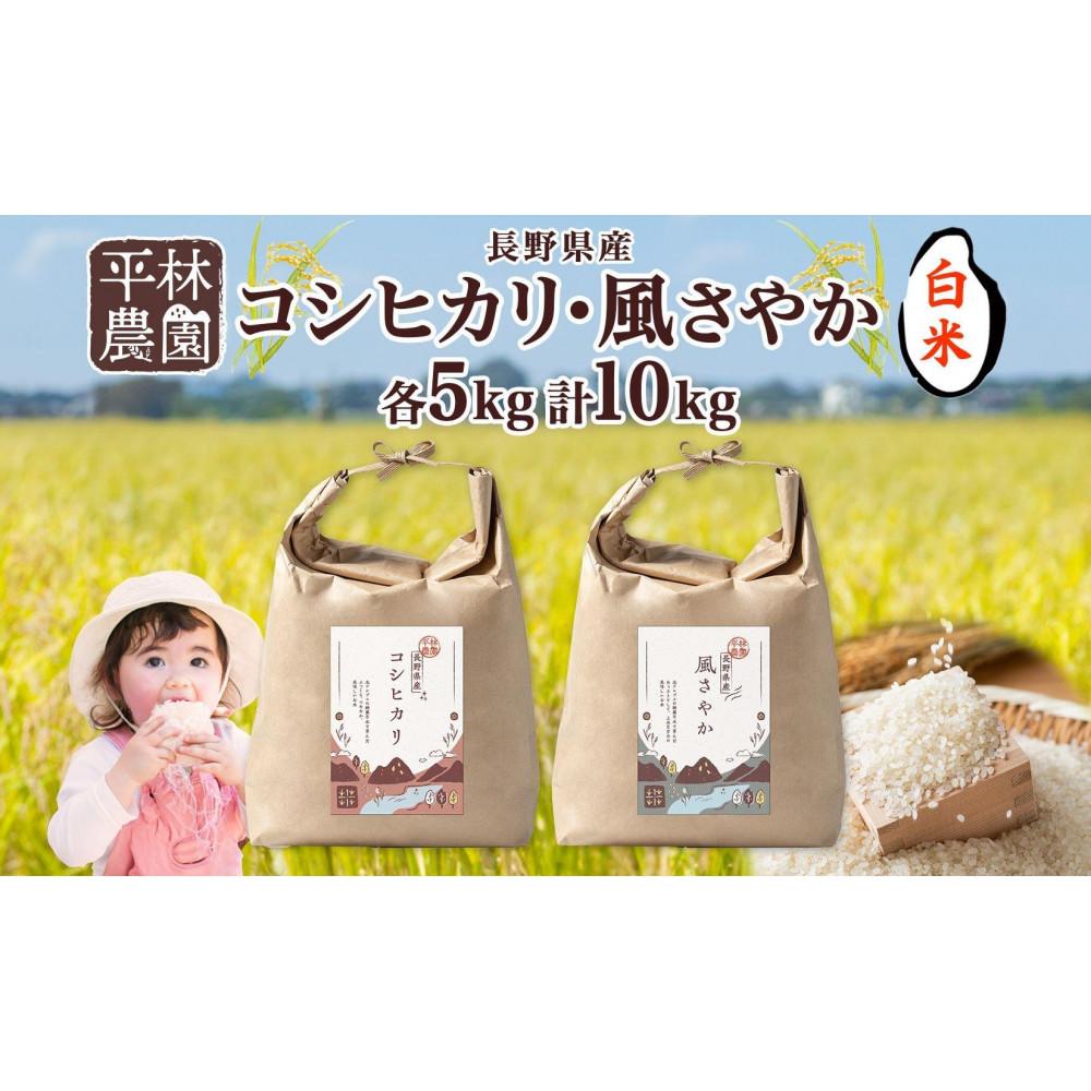 令和6年産 コシヒカリ 風さやか 白米 各5kg 長野県産 米 精米 お米 ごはん ライス 甘み 農家直送 産直 信州 人気 ギフト お取り寄せ 平林農園  長野県 大町市長野県大町市26000米・パン白米