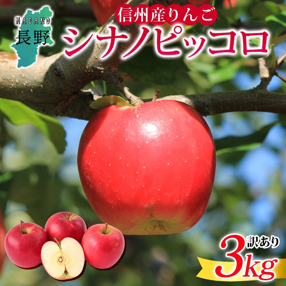 25N s\񁄒쌧Y  VimsbR 󂠂 3kg S { t[c A ь ʕ KiO Ɨp Yn _ Y   ̂ꂽ  xc_ MB