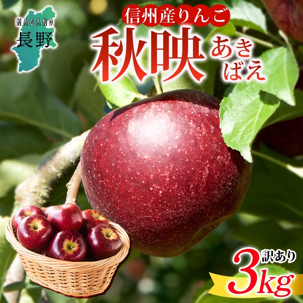 <25年発送 先行予約>長野県産 りんご 秋映 訳あり 約3kg リンゴ 旬 フルーツ 訳アリ 林檎 果物 規格外 自家用 産地直送 農園 産直 お取り寄せ もぎたて 採れたて  堀田農園 信州 大町市長野