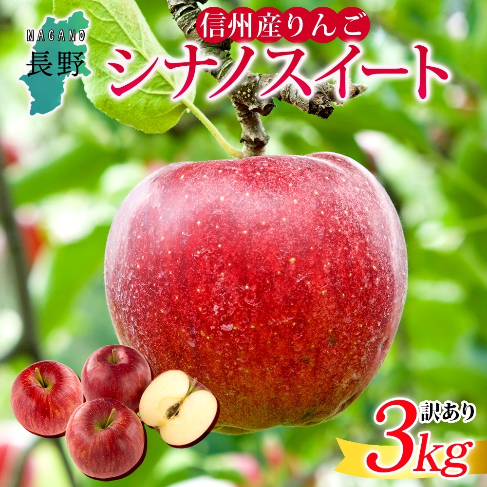 <25年発送 先行予約>長野県産 りんご シナノスイート 訳あり 約3kg リンゴ 旬 フルーツ 訳アリ 林檎 果物 規格外 自家用 産地直送 農園 産直 お取り寄せ もぎたて 採れたて  堀田農園 信州