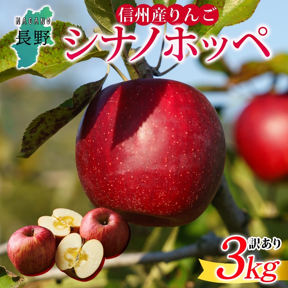 25N s\񁄒쌧Y  Vimzby 󂠂 3kg S { t[c A ь ʕ KiO Ɨp Yn _ Y   ̂ꂽ  xc_ MB 