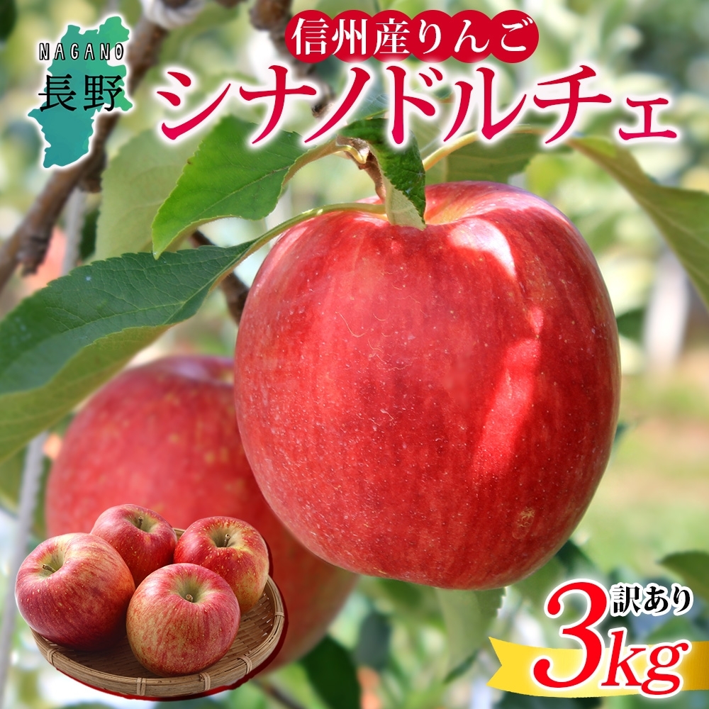 <25年発送 先行予約>長野県産 りんご シナノドルチェ 訳あり 約3kg リンゴ 旬 フルーツ 訳アリ 林檎 果物 規格外 自家用 産地直送 農園 産直 お取り寄せ もぎたて 採れたて  堀田農園 信州